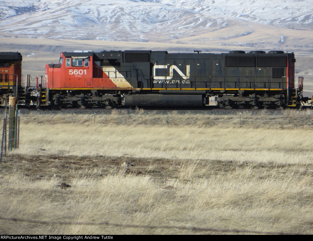 CN 5601